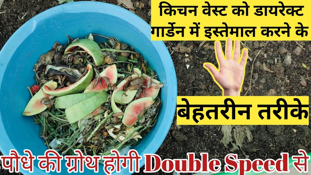 How to use kitchen waste in Garden direct? ऐसे यूज करोगे तो पौधे की ग्रोथ रोक नहीं सकते।