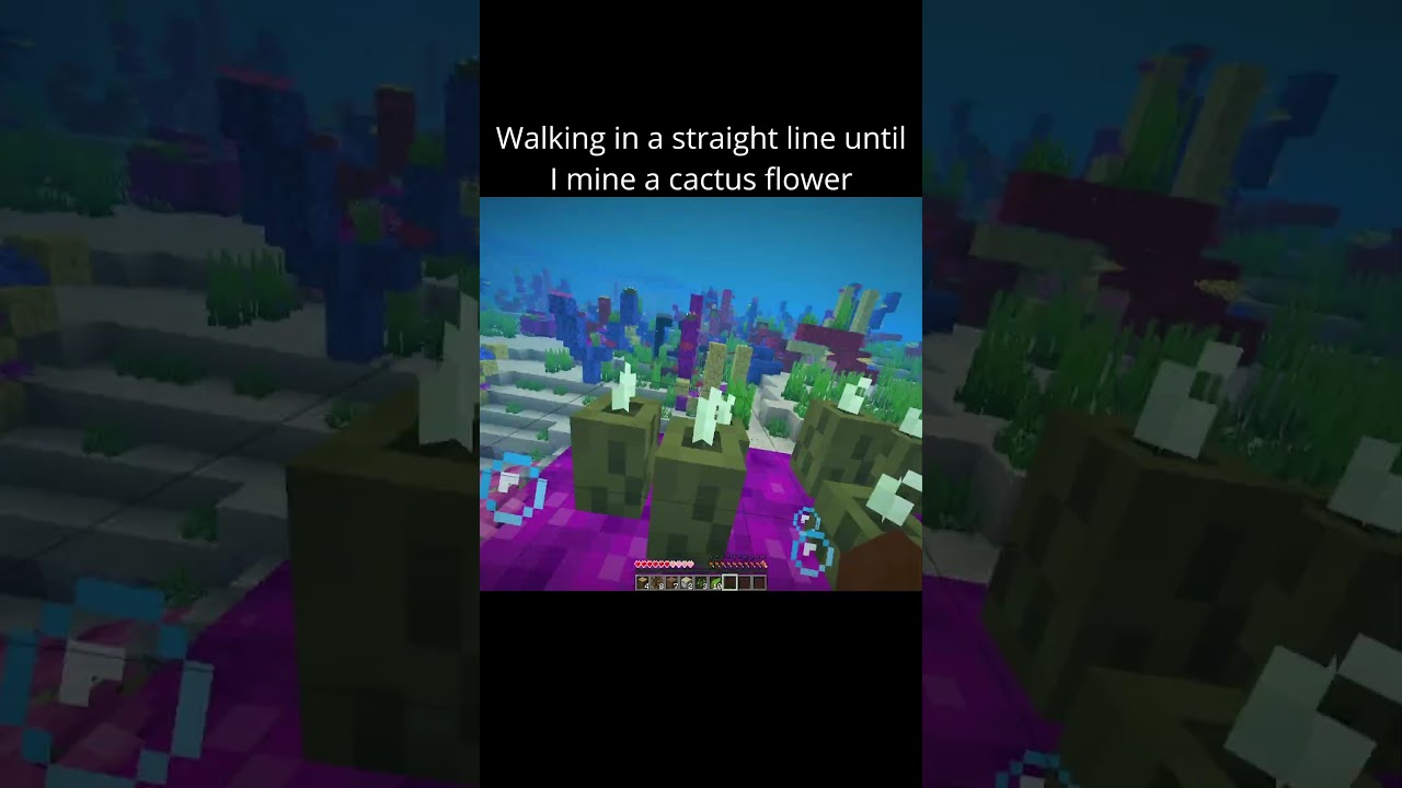 Walking in a straight line until I mine a cactus flower