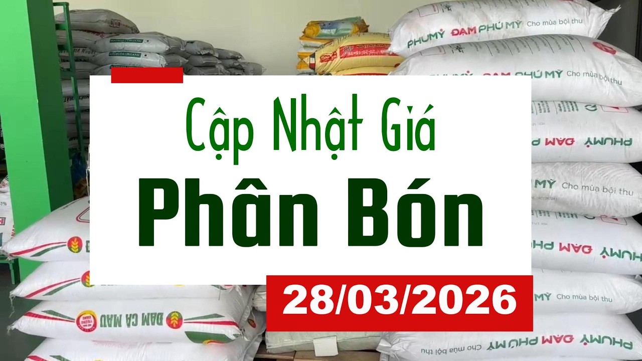Cập Nhật Gi&aacute; Ph&acirc;n B&oacute;n H&ocirc;m Nay 28/03/2026