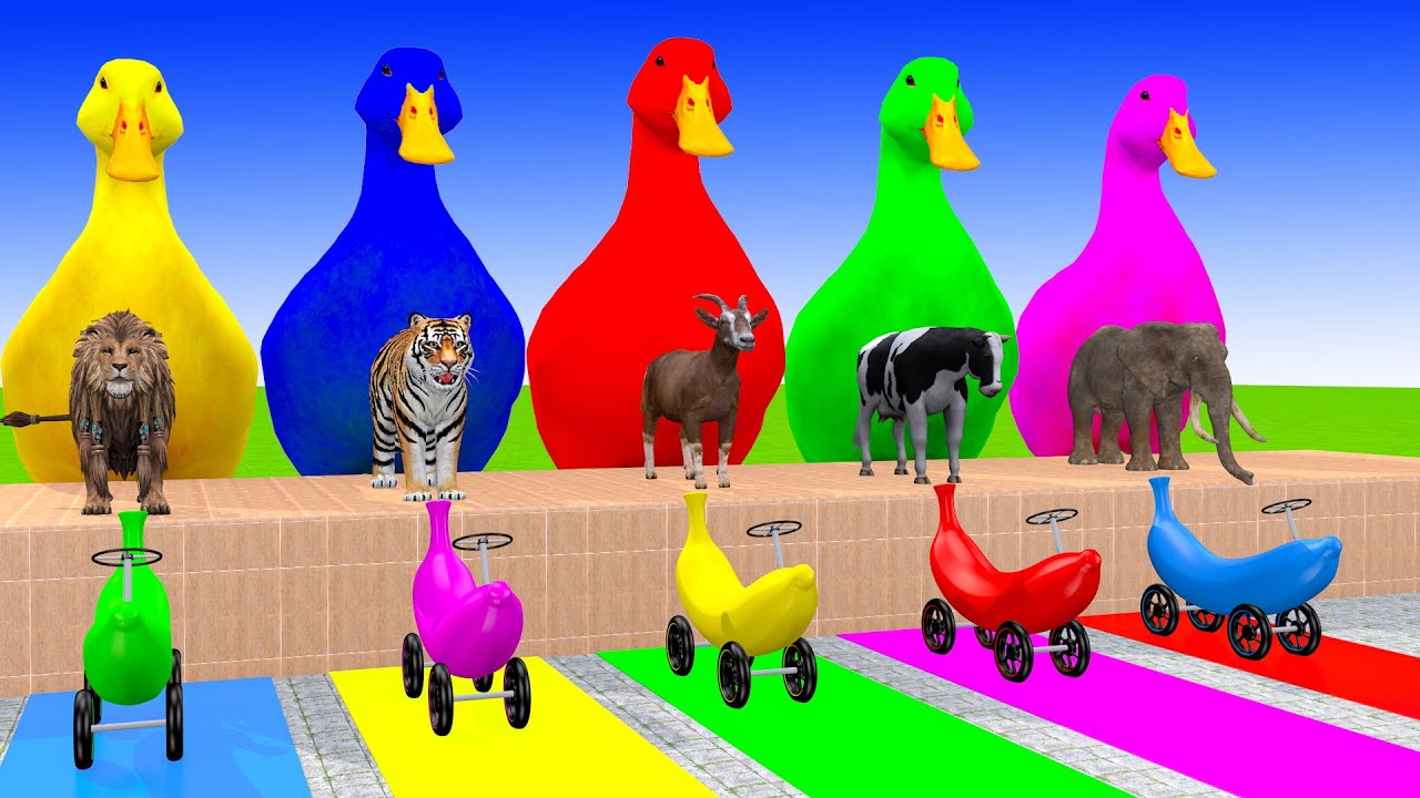Long Slide Game With Cow Elephant Gorilla Hippopotamus Tiger 3d Animal Game Funny 3d Animals