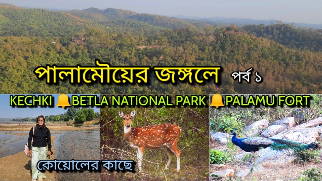 Palamu Forest | Betla National Park | Palamu Fort | Kechki | River Koel