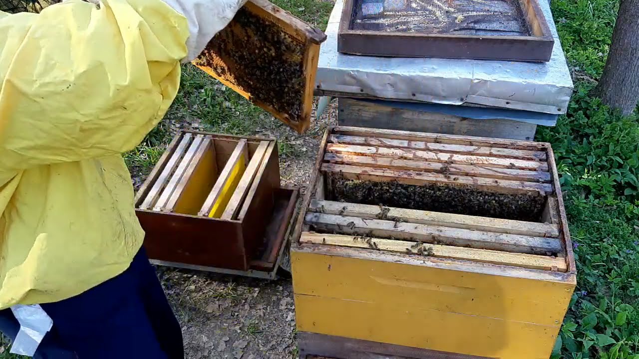 Ograničavanje matice (Belčićeva metoda) 25.4.2021. 1. dio