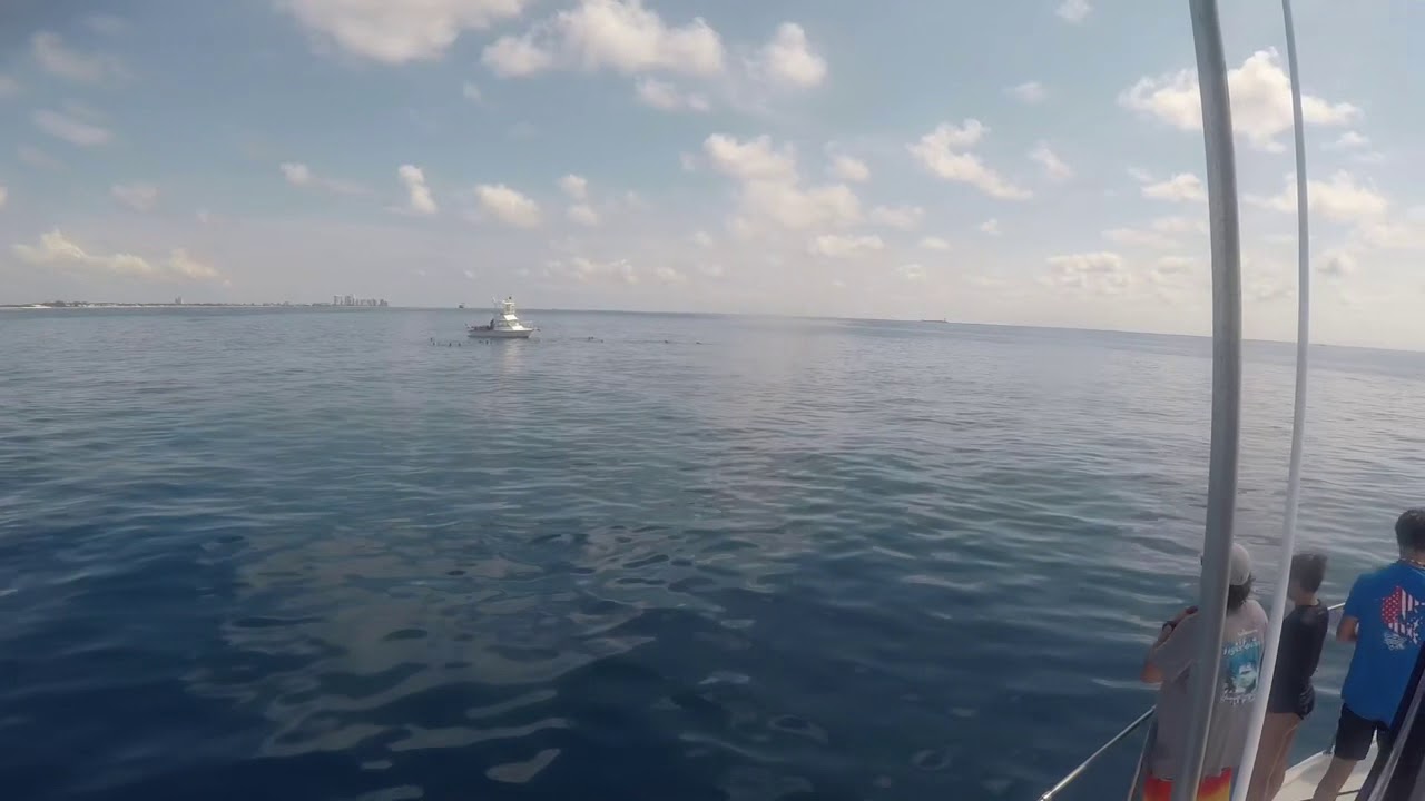 Pirates Diving in Paradise