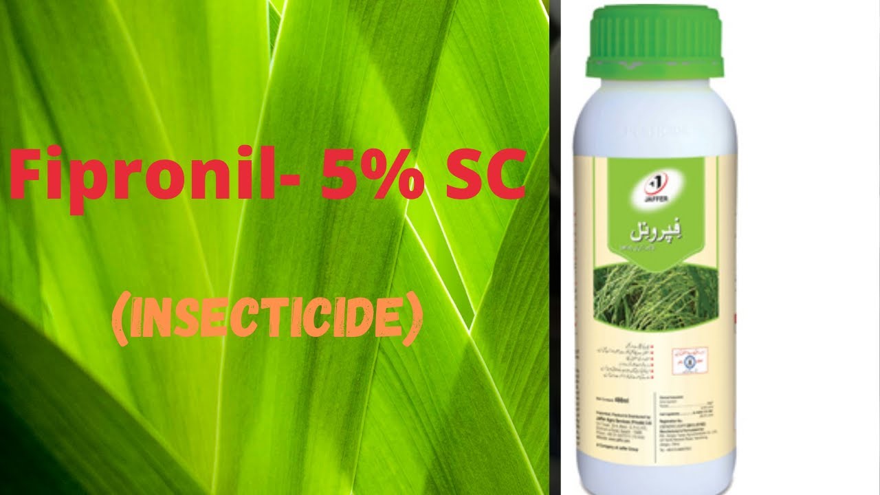 Fipronil - 5% SC Insecticide / Uses & Mode Of Action ( Hindi/Urdu)
