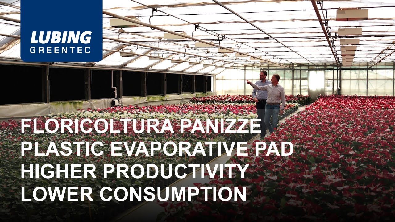 Floricoltura Panizze - Plastic Evaporative Pad for Greenhouse - LUBING GreenTec