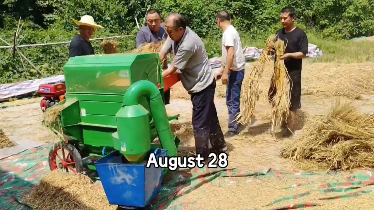 5TG-80 Thresher
