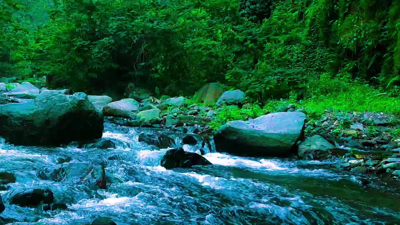 Gentle River Sounds for Deep Sleep  Natural White Noise for Insomnia  Stress Relief
