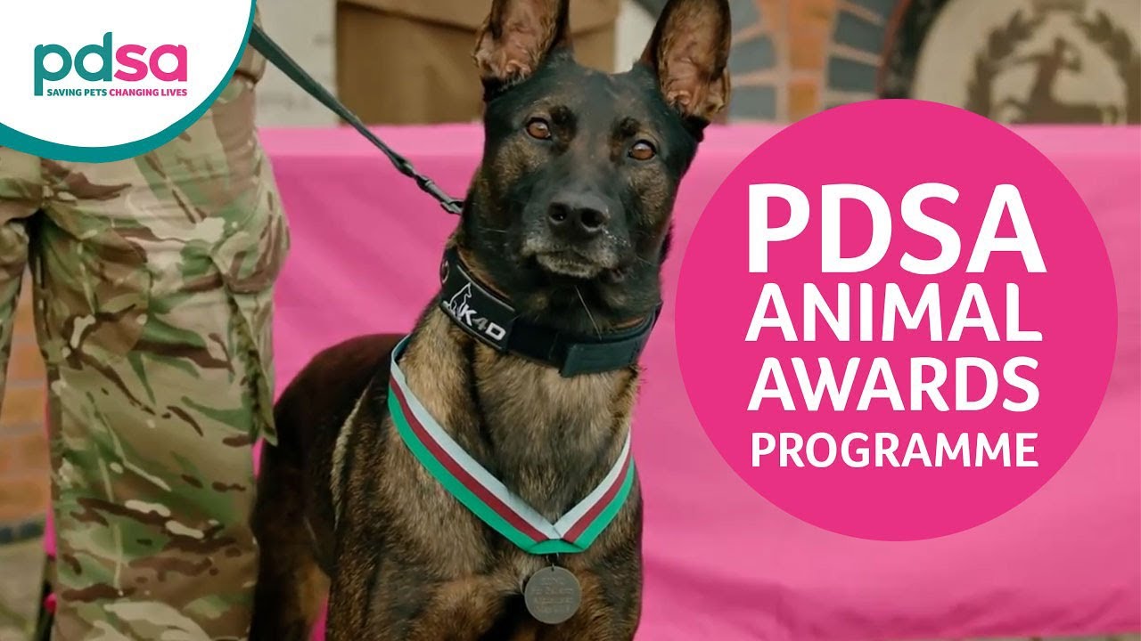 PDSA Animal Awards Programme