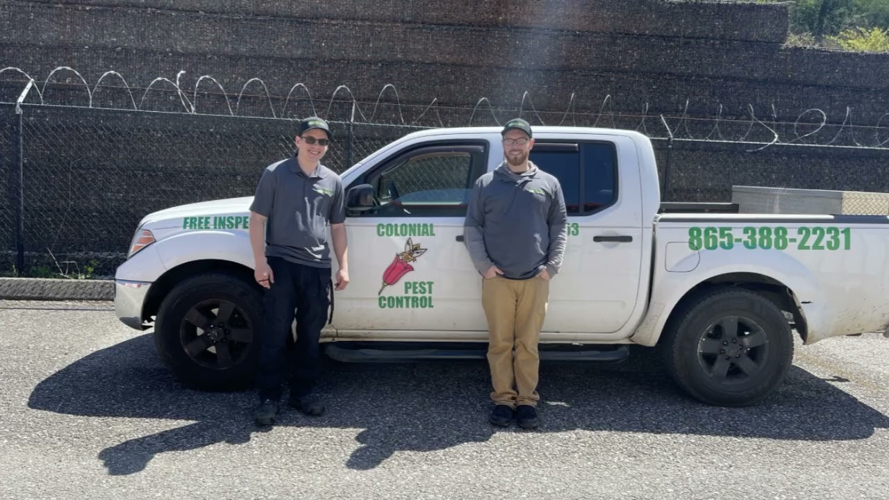 Pest Control Knoxville & Farragut | Exterminator Near Me for Ant & Cockroach Control