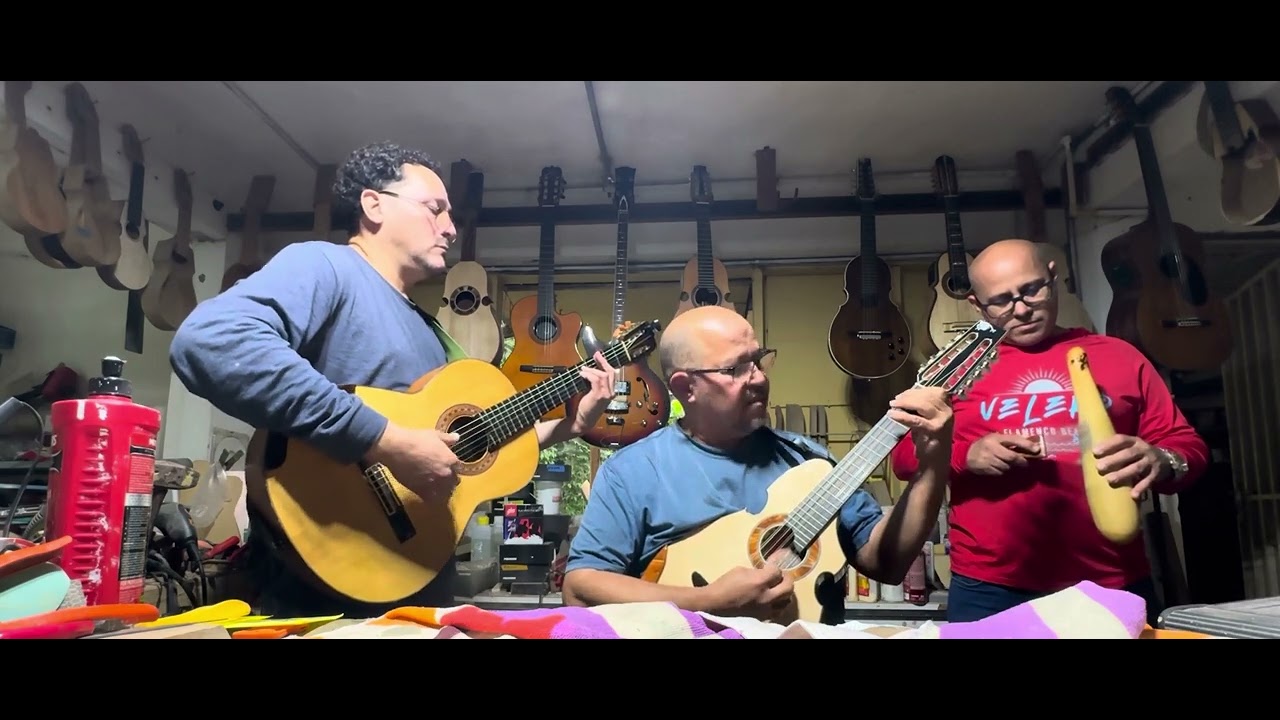 Bajo la sombra de un Pino