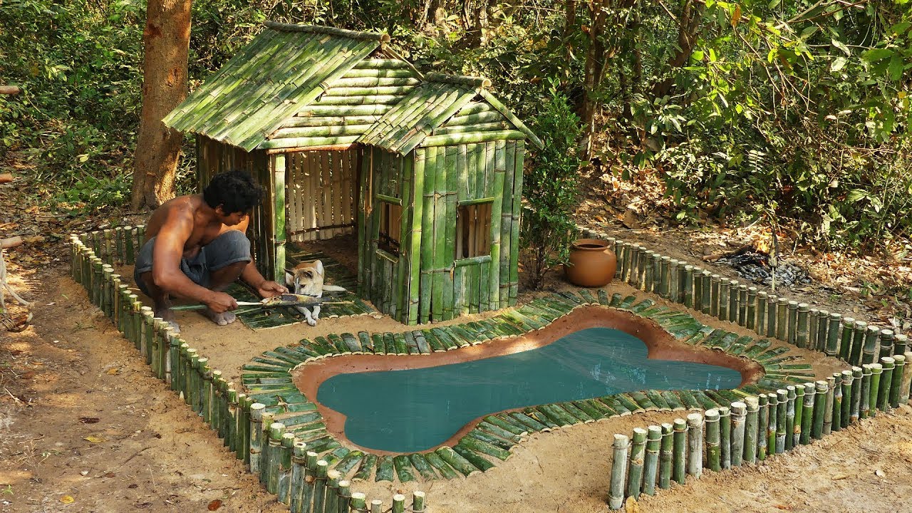 Rescues Wild Dog From Mud Trap Building Wild Dogs House And Mini Swimming Pool