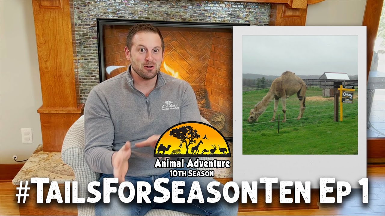 #TailsForSeasonTen: Episode 1
