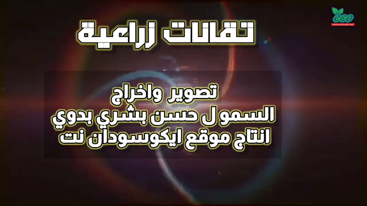 تقانات زراعية|زراعة الارزفي السودان@ecosudantv
