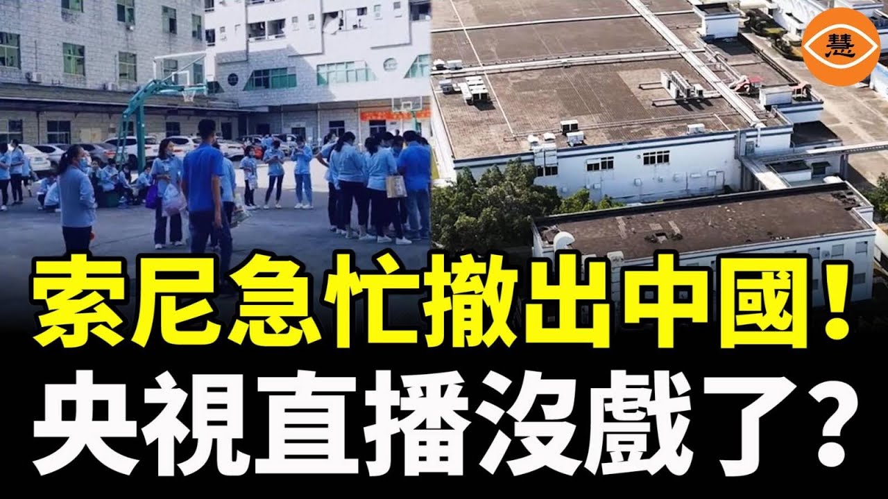 扎根廣東惠州29年的索尼急速撤離出國！超過3萬人瞬間失業，央視直播沒戲了？