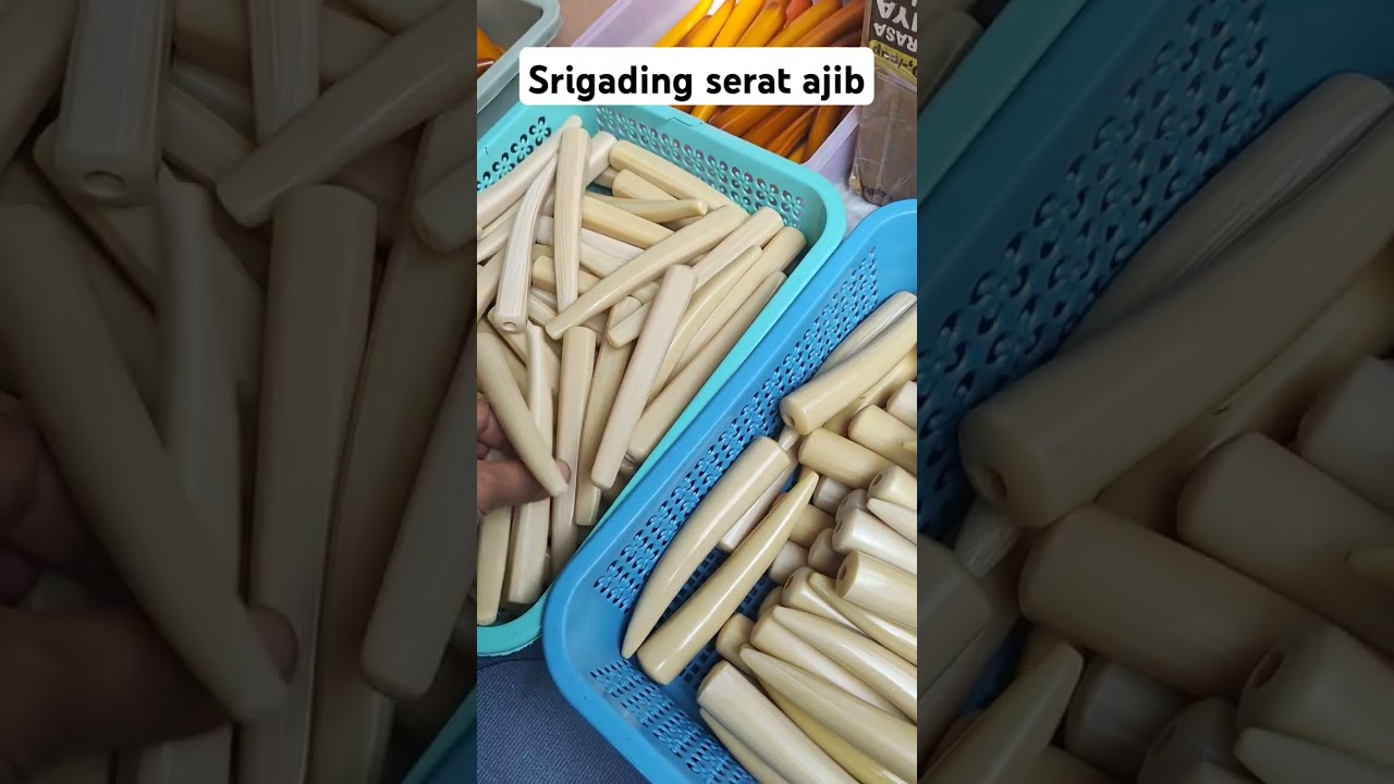 gading gajah srigading serat ajib mirip aslinya #piparokok