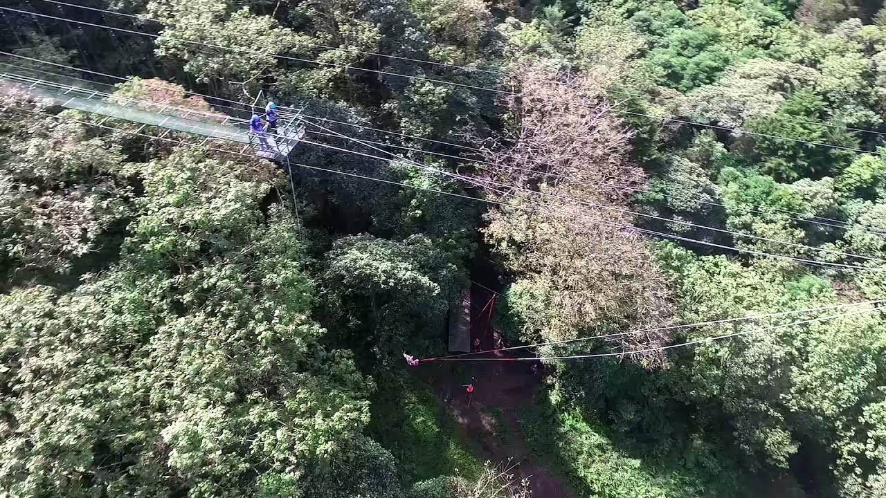 Mega Tarzan Swing
