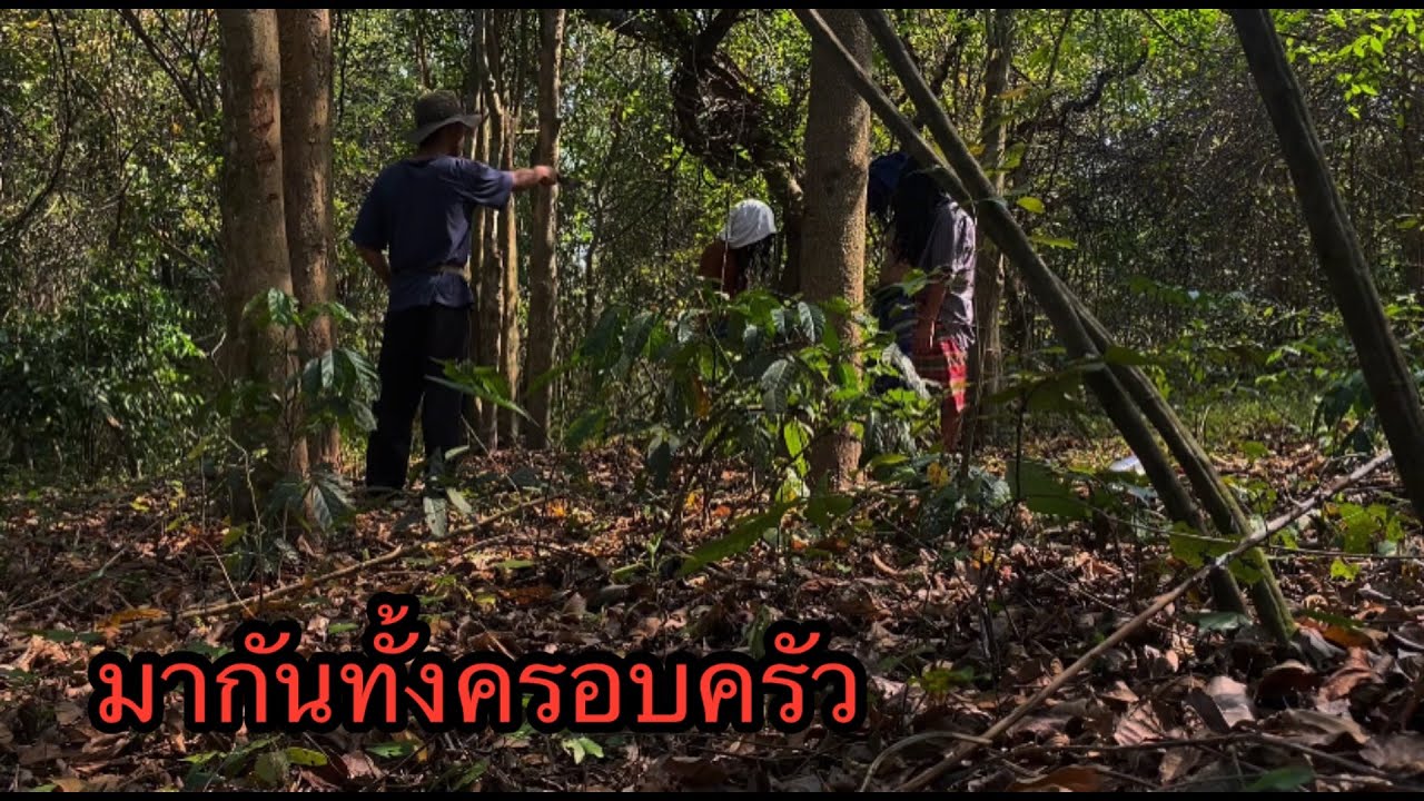 ไปเจรจากับครอบครัวเล่นของแต่มันกลับไม่ยอมจึงต้อง…
