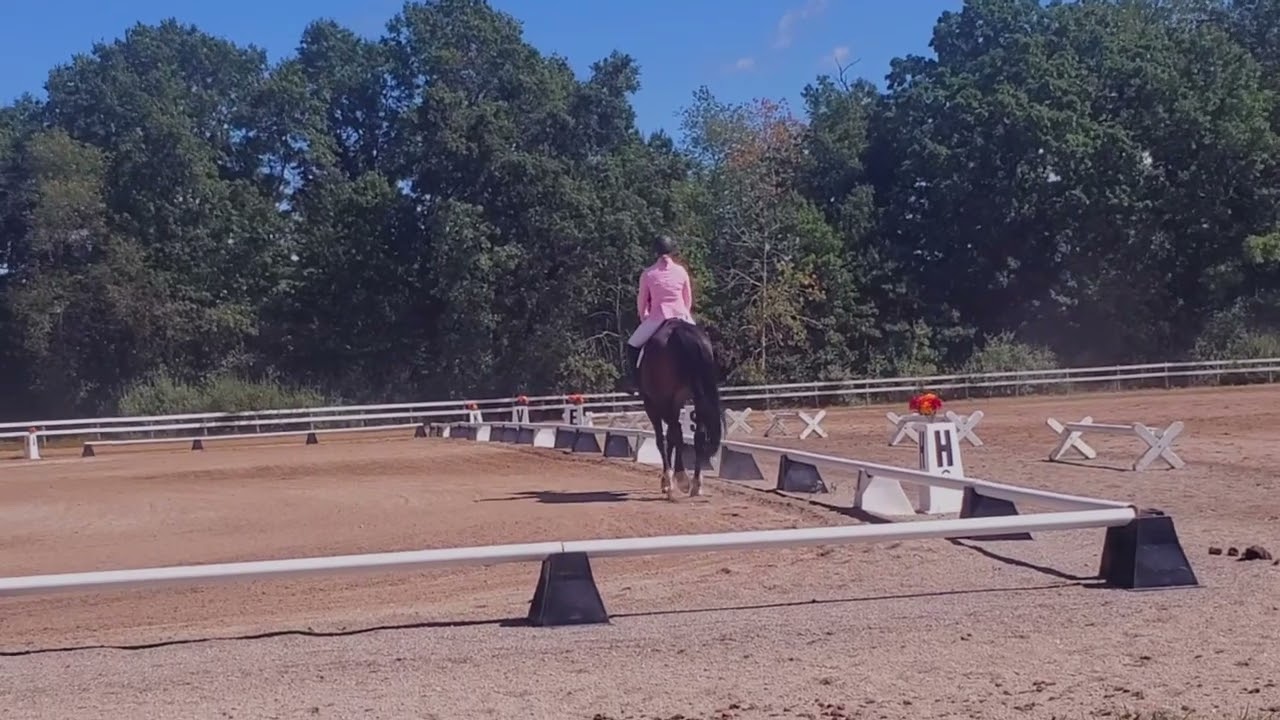 ABBA Dressage Musical Freestyle | 2024 | Royal Dhream