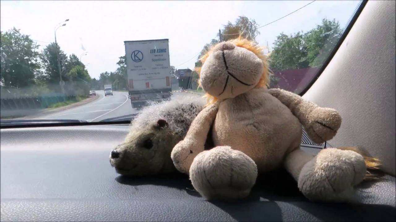 На автомобиле в Европу: дорога от Москвы до Бреста. лето 2016. ч. 1