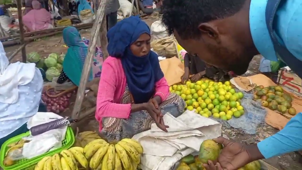 ለሚ ሮቢቴ ሰኞ ገበያ የቡርትካን፣የጤፍ፣22ብር ኡኡኡየኑግ፣የስንደ፣ ወቅታዊ ዋጋ ዝርዝር