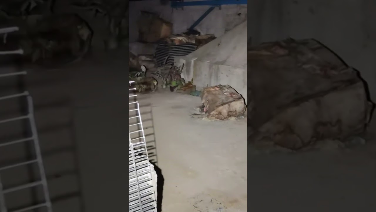 NEI SOTTERRANEI DELLA CONCESSIONARIA IVECO ABBANDONATA 