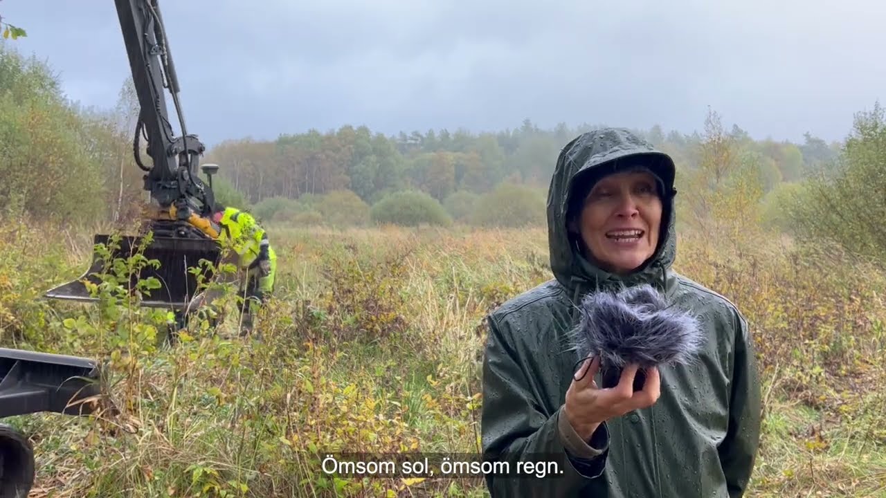 Arkeologisk utgrävning Volvo Tuve