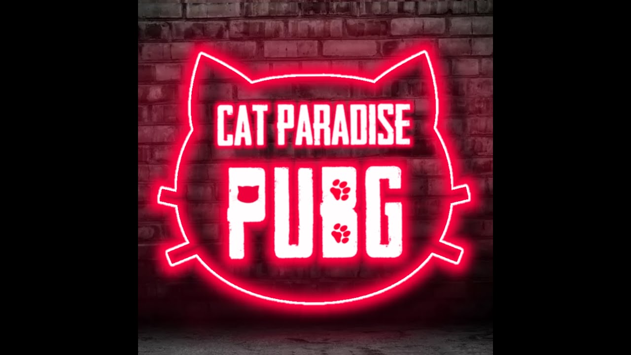 久しぶりのパブジー #PUBG #パブジー