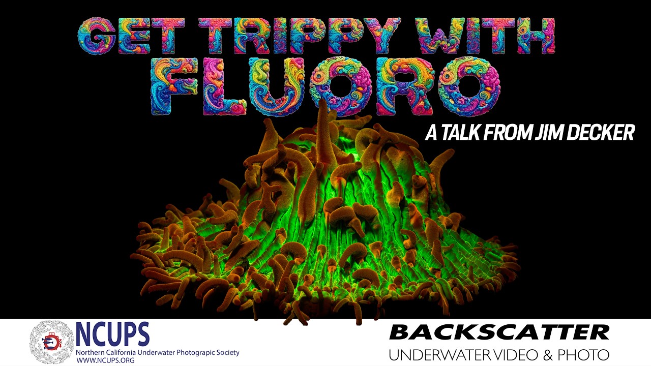 NCUPS Feb 2026 | Get Trippy With Fluoro