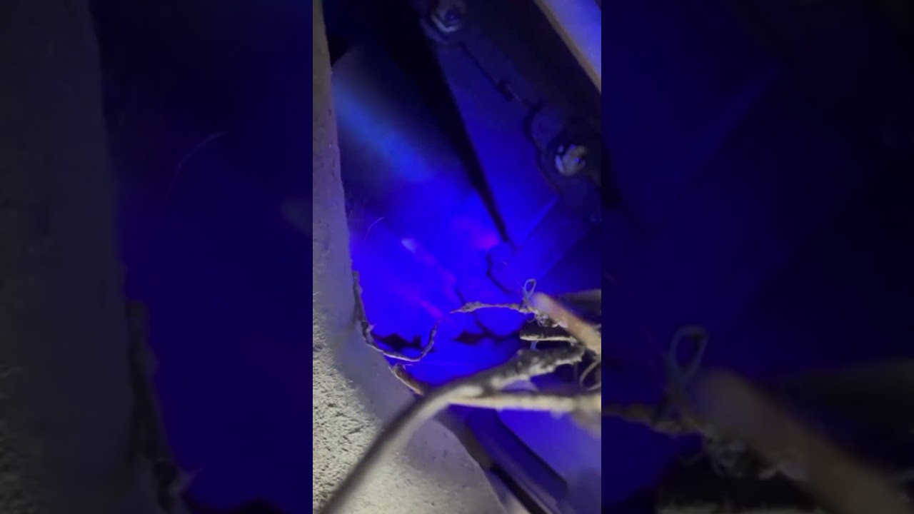Using UV dye for oil leak detection #automobile #problemfix #mechanic #mechanictools #foryou
