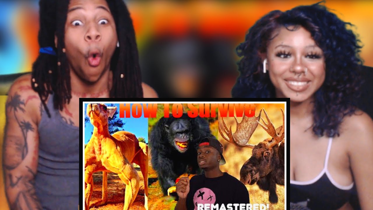How To Not Get Unsubscribed From Life By Animals pt. 1 (Casual Geographic Reaction)