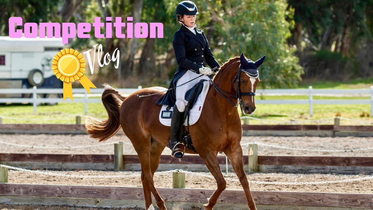 Dressage Competition Vlog