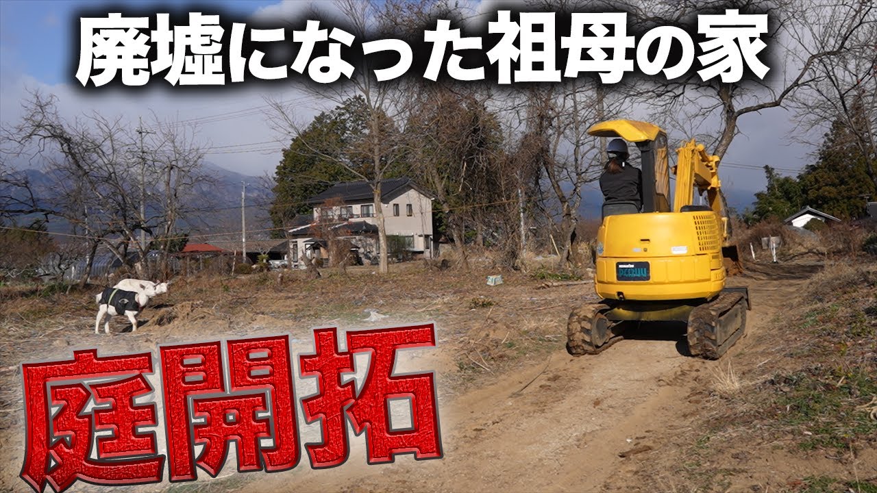 一年前に伐採した巨大な桜の木の切り株を掘り起こす！！作業を見つめる動物たち【364日目】
