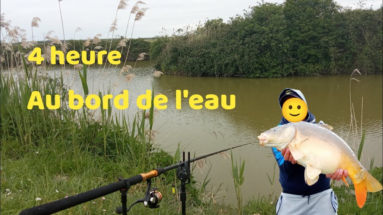 pêche a la carpe ~ en étang communal