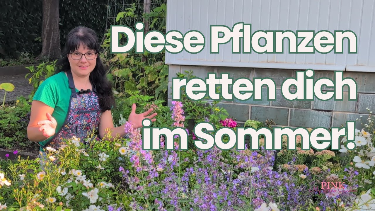 Pflegeleichte Pflanzen für den Sommer 🌸 | 5 Favoriten, die kaum Arbeit machen