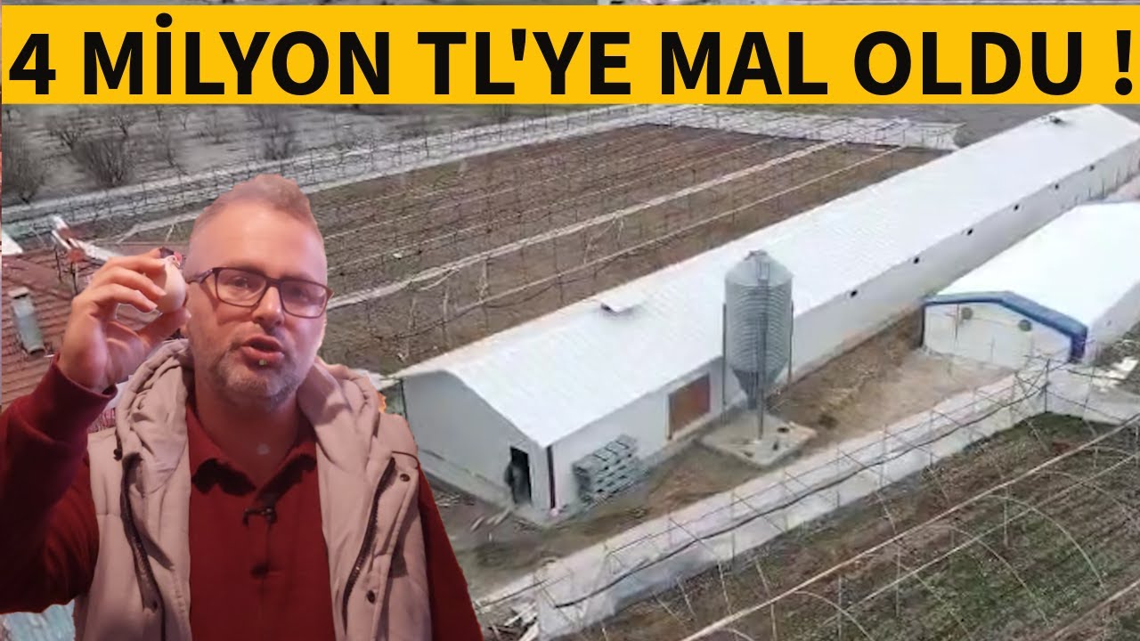 3000 KAPASİTE ÇADIR VE PREFABRİK KAFES TAVUK ÇİFTLİĞİ KURMA MALİYETİ VE AYLIK KAZANCI