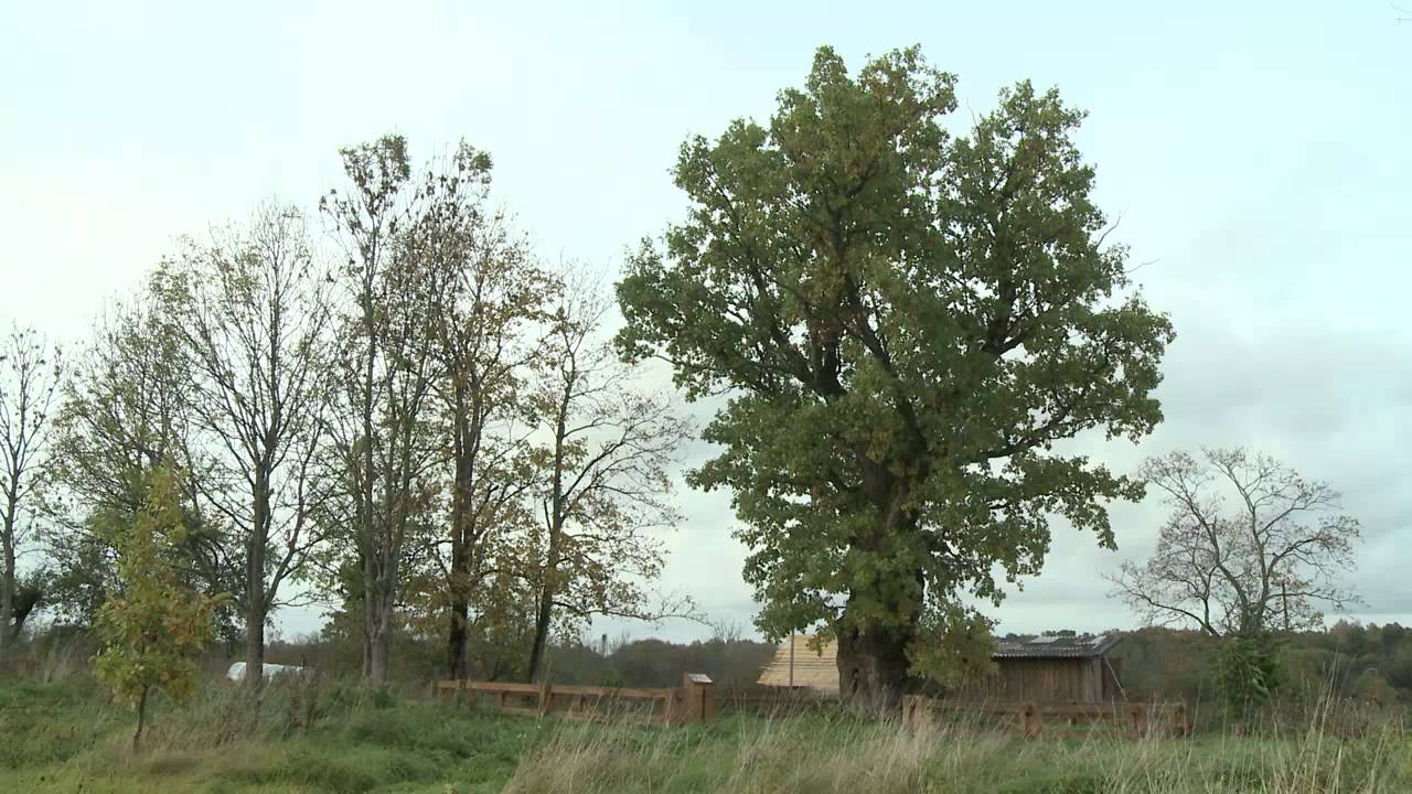 Pagramančio regioninis parkas
