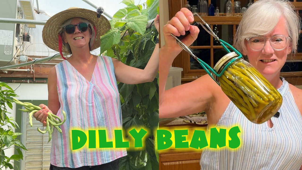 CANNING Dilly Beans the EASY WAY Nobody Tells You!