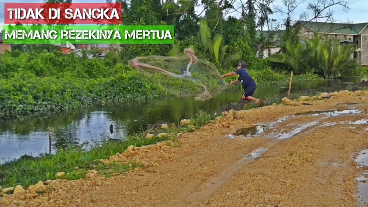 Awalnya Jala Ikan Nila, Ternyata Menakjubkan Yang Di Dapat
