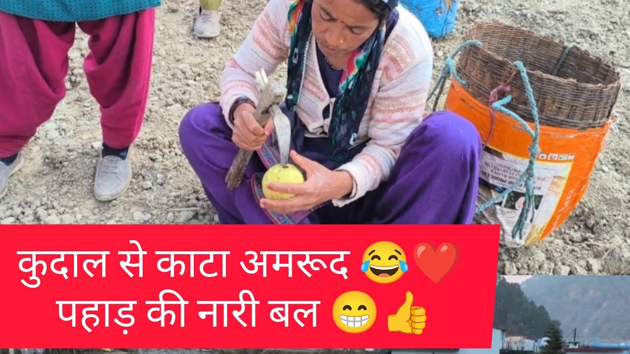 कुदाल से काटा अमरूद 😂❤ पहाड़ की नारी बल 😁pahadirangat #vlog #vlogger #pahadi #uttakhandi #chamoli 