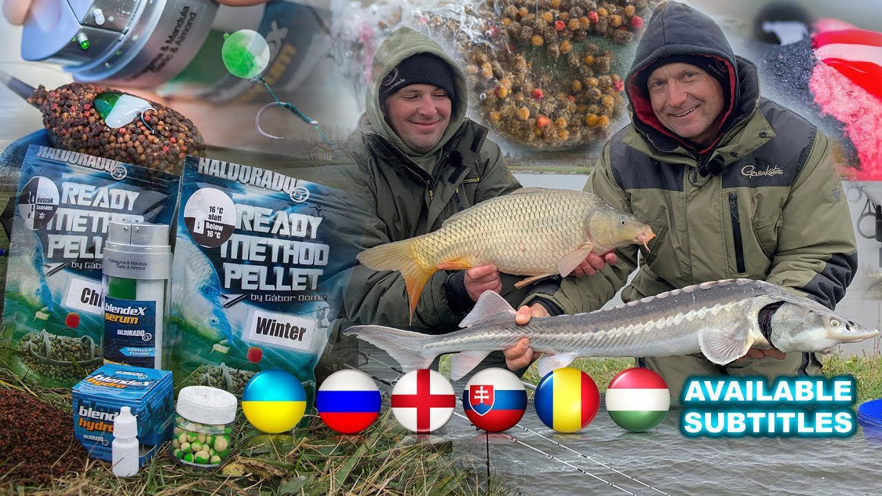Ловля карпа фидером по холодной воде 22. серия Решения 
