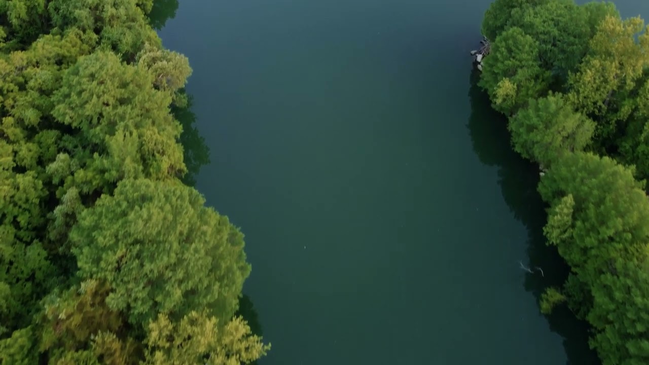 Aerial view of a river