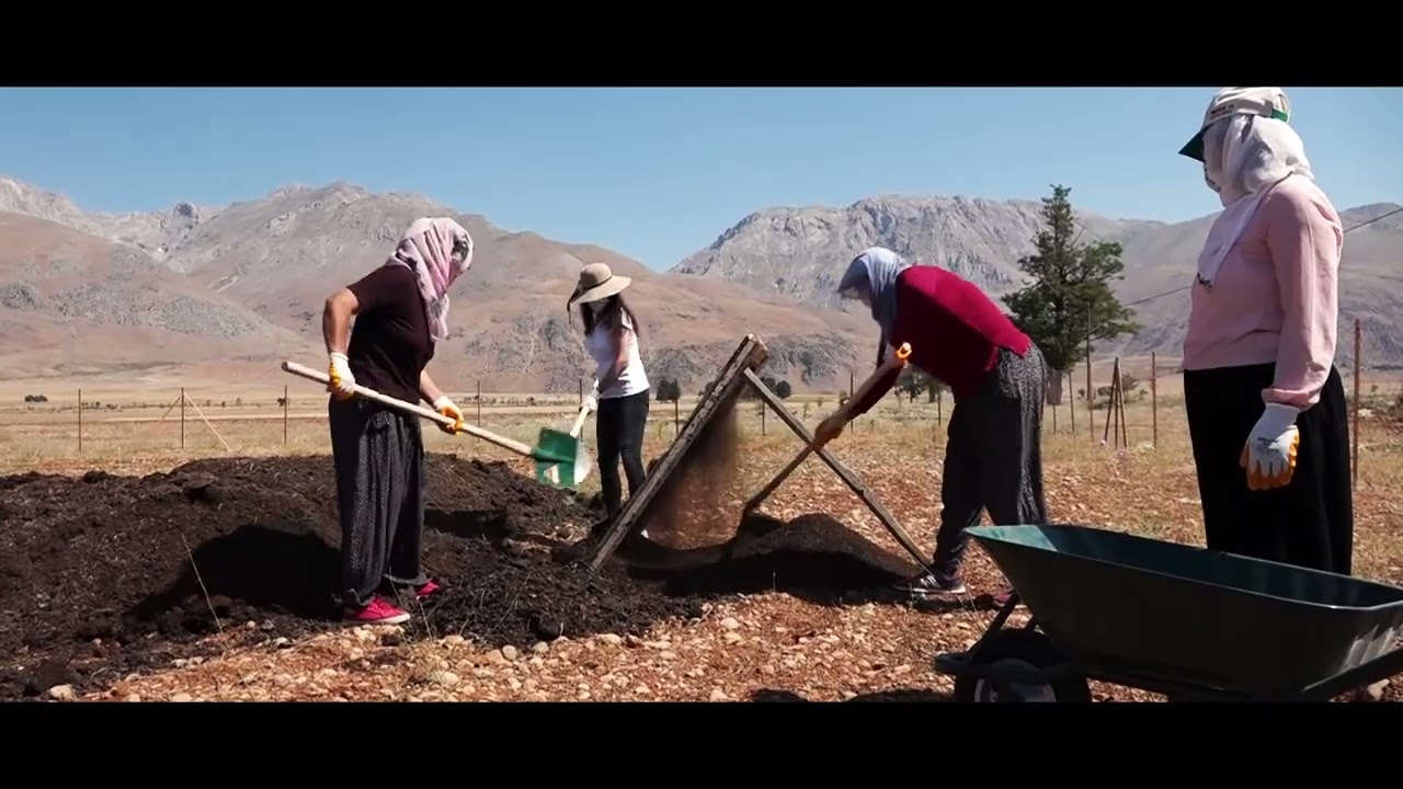 TUNCELİ DAĞ SARIMSAĞI BELGESELİ