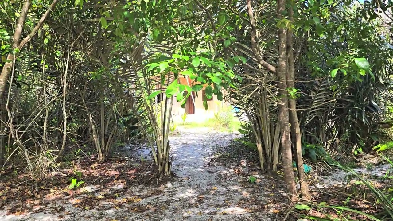 Uma cabana para o Aconchego.
