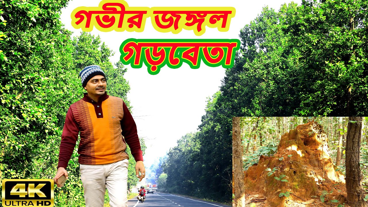গড়বেতার গভীর জঙ্গল -এ হারিয়ে গেলাম 🌳🌳 | পশ্চিম মেদিনীপুর । Garhbeta Jungle | Vlog Garbeta Jangal