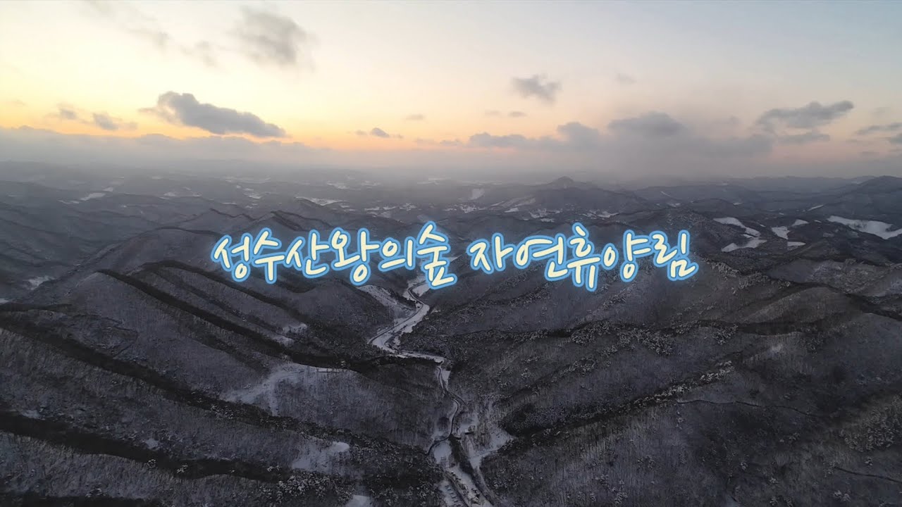 성수산왕의숲 자연휴양림 여기가 천국.