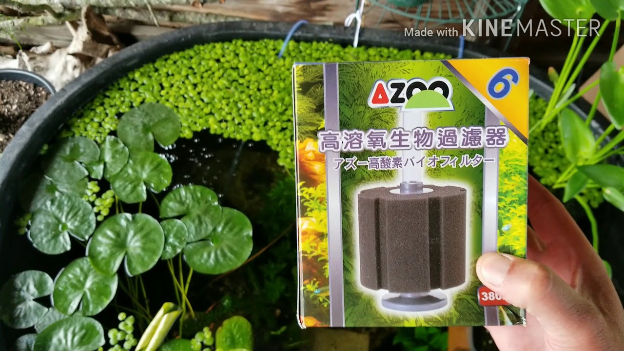 110 Gallon Outdoor Fish Pond