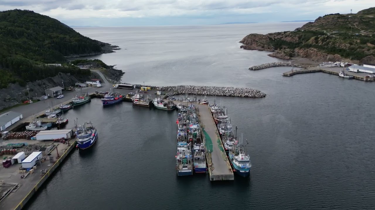 NFLD Cinematic Drone 4k By Derrick Sturge