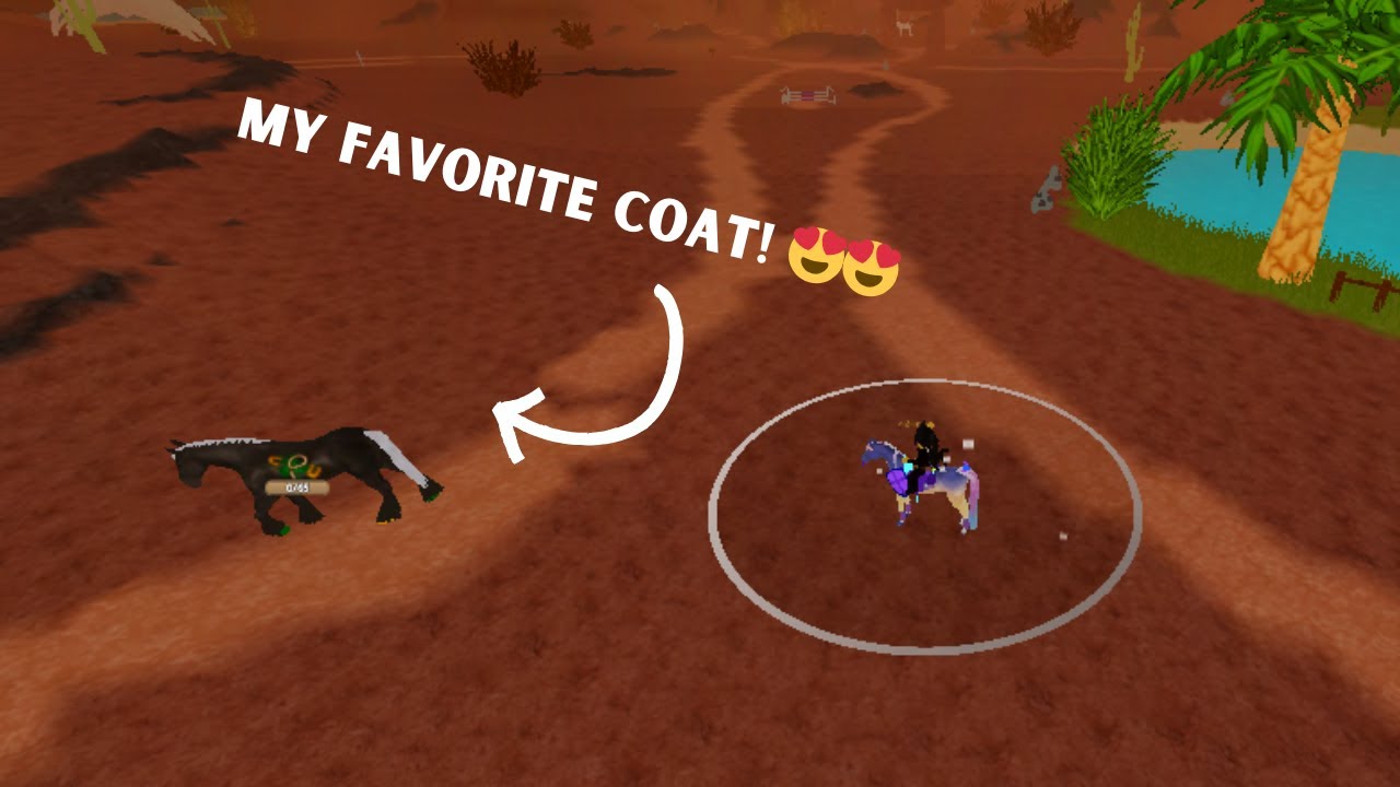 HUNTING FOR *SAINT PATRICKS DAY* EVENTS in WILD HORSE ISLANDS!
