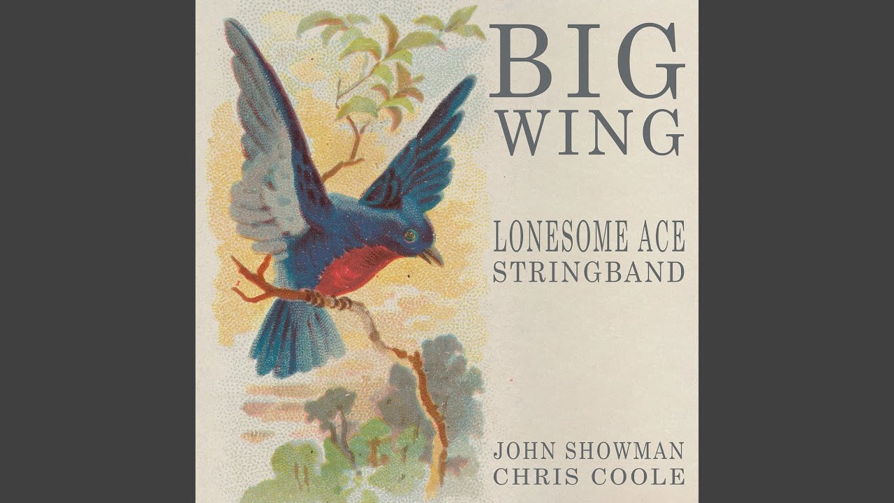 Big Wing