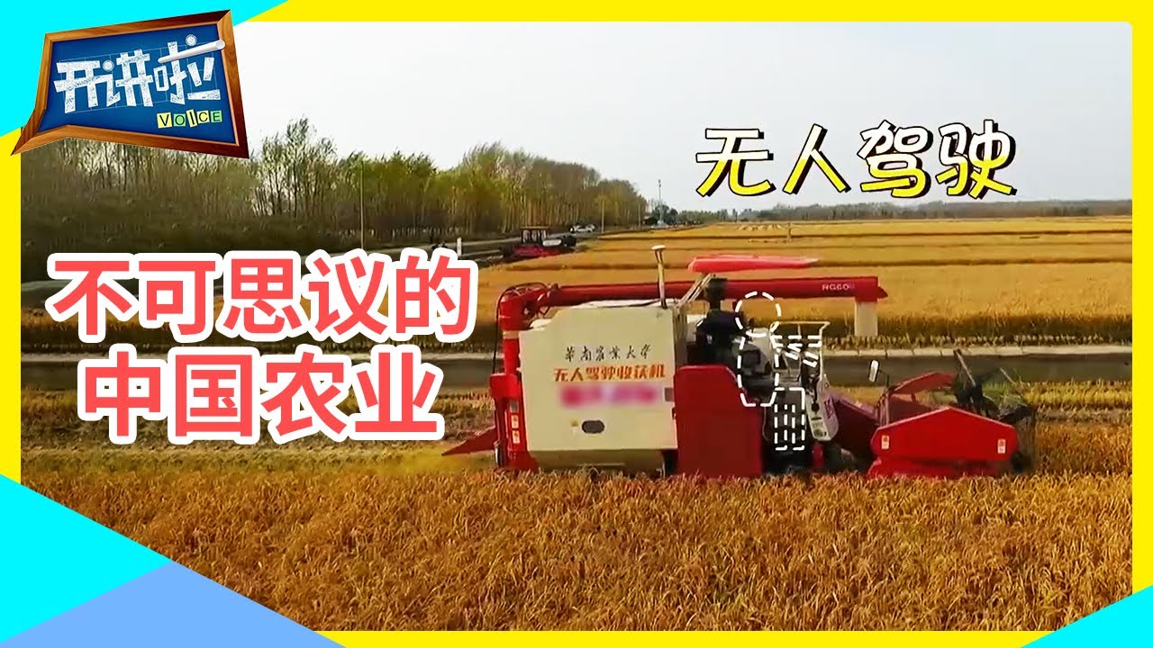 神仙也愁难种田？中国农业已经是next level了！| 开讲啦 The Voice